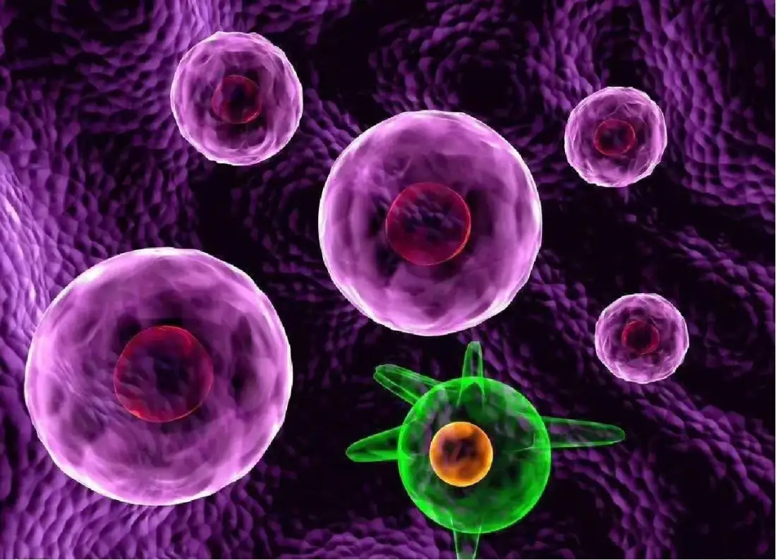 Cells with a green cell