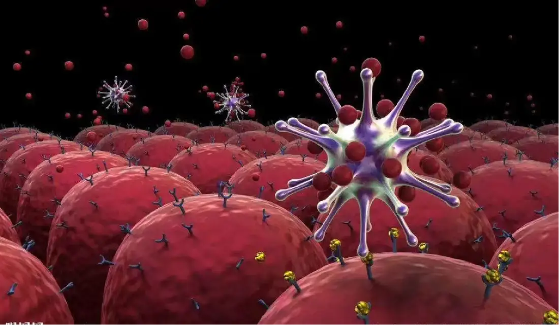 Red & spiky cells
