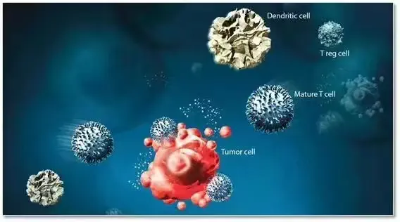 Minimally invasive cryoablation (procedure)